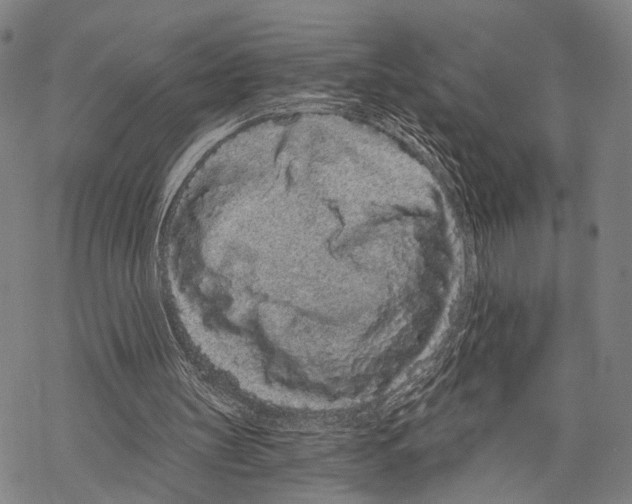 X0000068260147200605191811