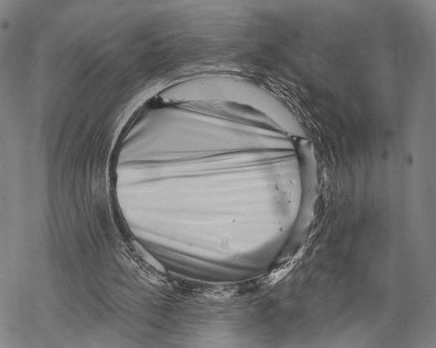 X0000068260148200605191811