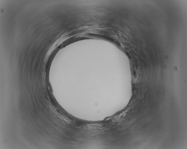 X0000068260150200605191811