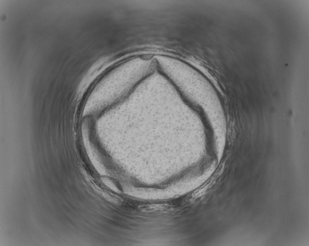 X0000068260151200605191811