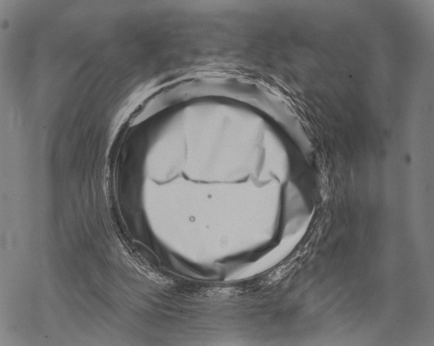 X0000068260152200605191811