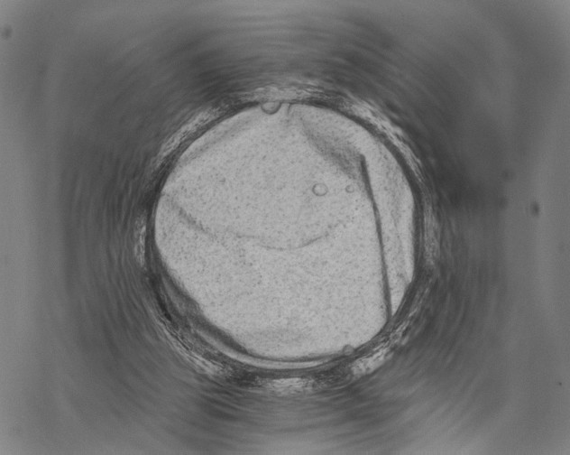 X0000068260153200605191811