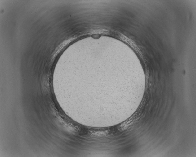 X0000068260155200605191811