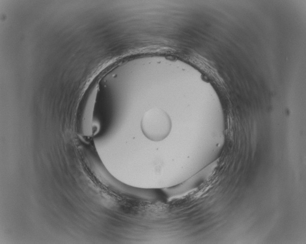 X0000068260156200605191811