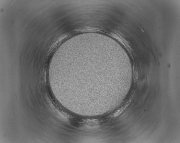 X0000068260157200605191811