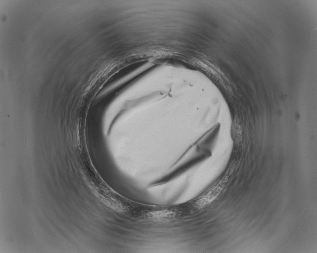 X0000068260158200605191812