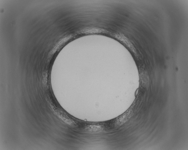 X0000068260159200605191812