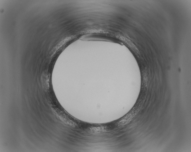 X0000068260160200605191812