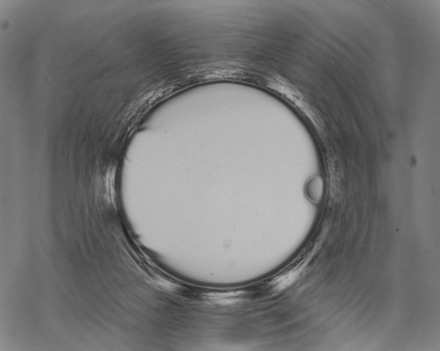 X0000068260161200605191812