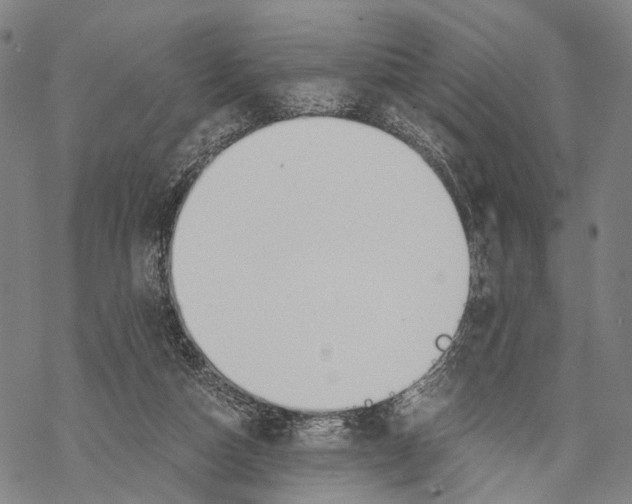 X0000068260162200605191812