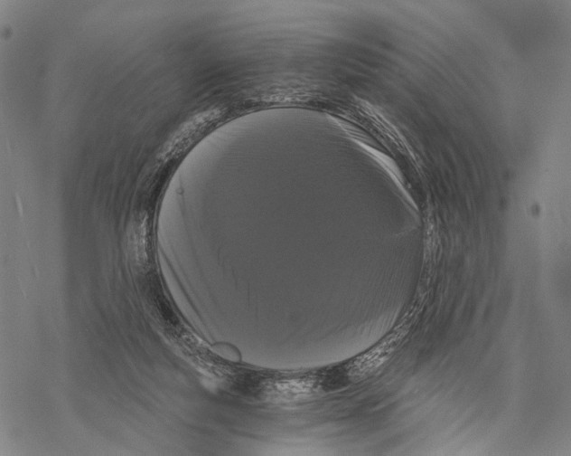 X0000068260163200605191812