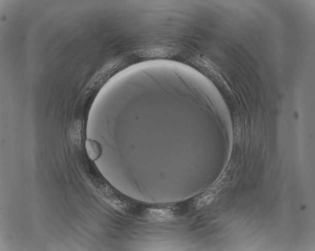 X0000068260167200605191812