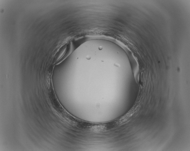 X0000068260168200605191812