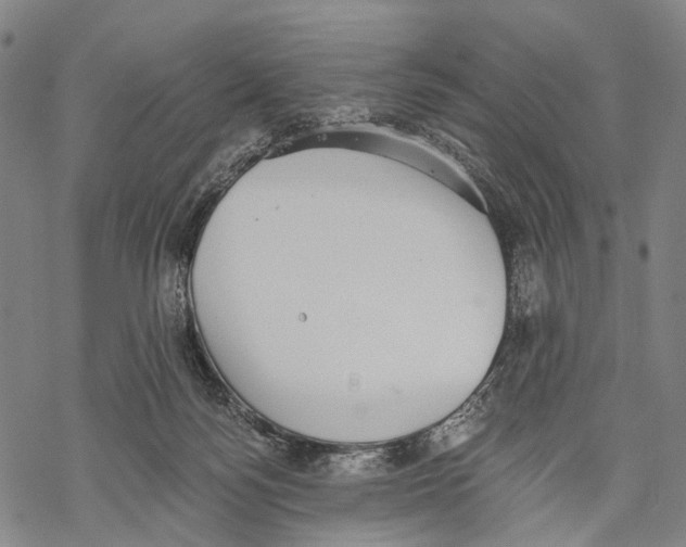 X0000068260172200605191812