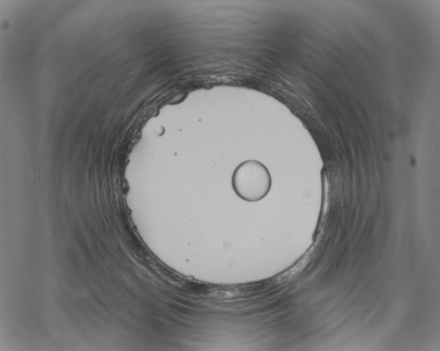 X0000068260174200605191812