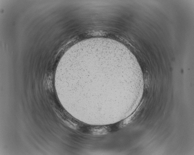 X0000068260175200605191812