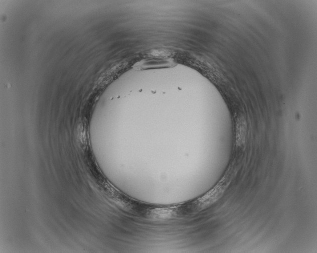 X0000068260176200605191812