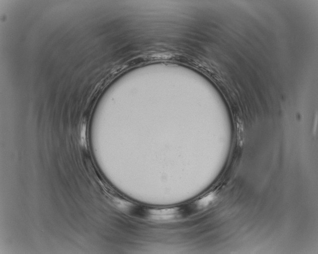 X0000068260177200605191812