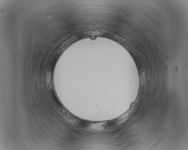 X0000068260178200605191812