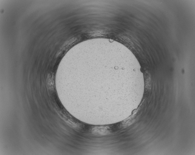 X0000068260179200605191812