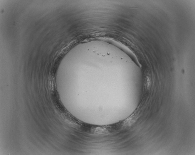 X0000068260180200605191812