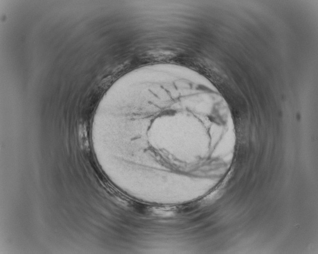 X0000068260182200605191812