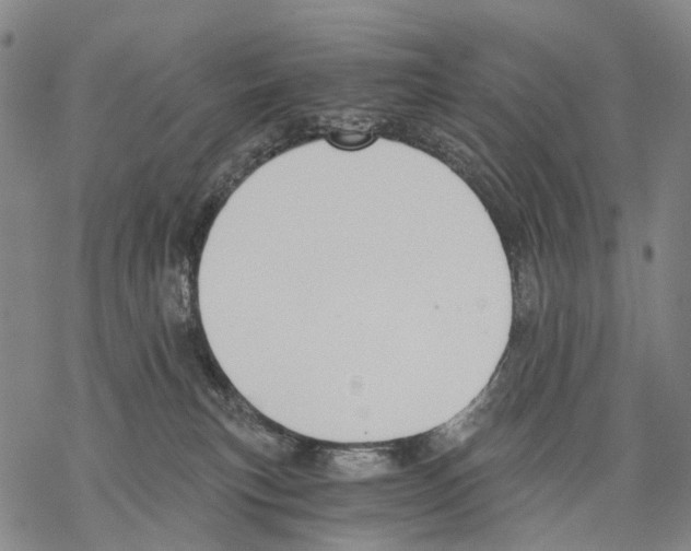 X0000068260183200605191812