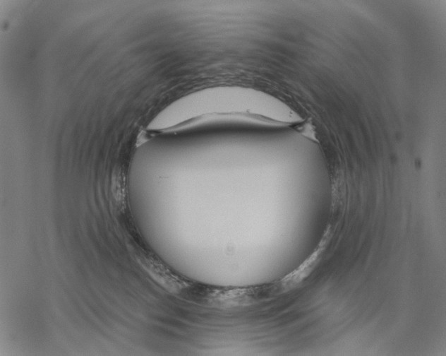 X0000068260186200605191812