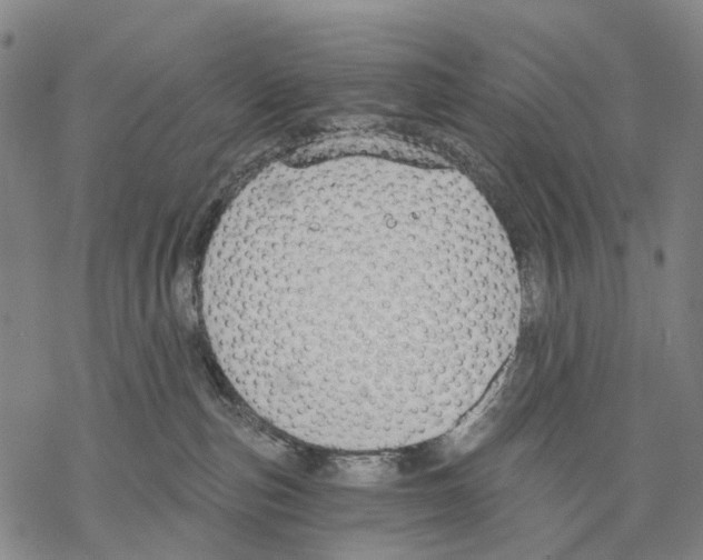 X0000068260187200605191812