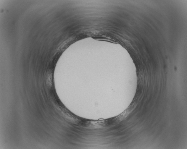 X0000068260188200605191812