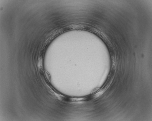 X0000068260189200605191812