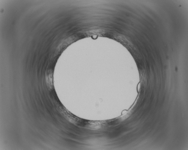 X0000068260190200605191812