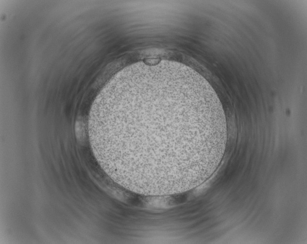 X0000068260191200605191812