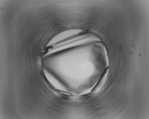 X0000068260192200605191812