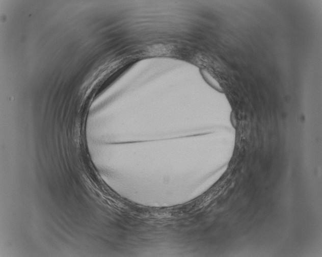 X0000068260194200605191811