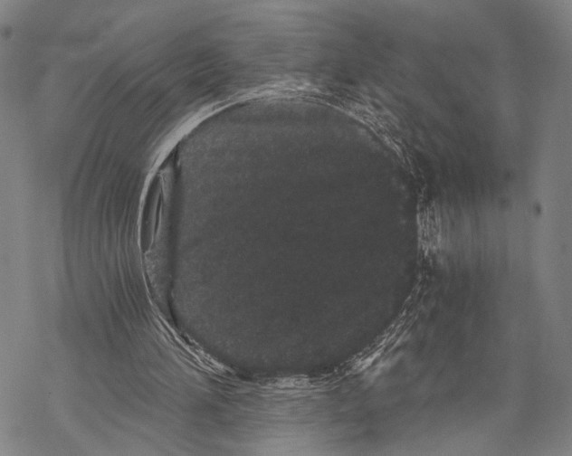 X0000068260196200605191811