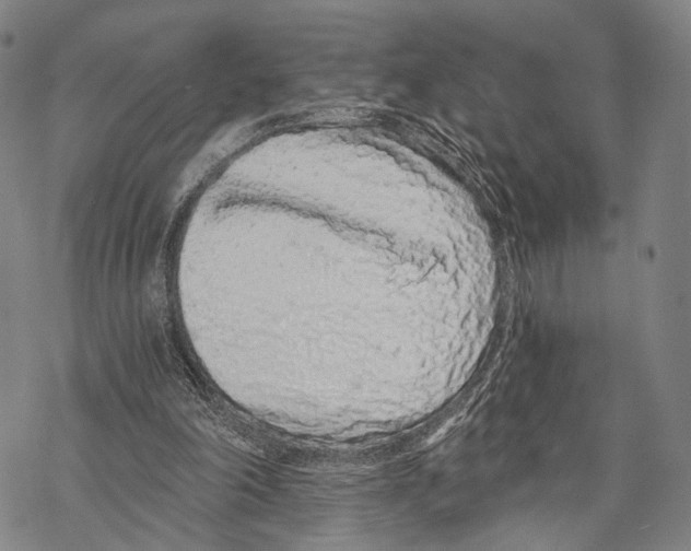 X0000068260198200605191811