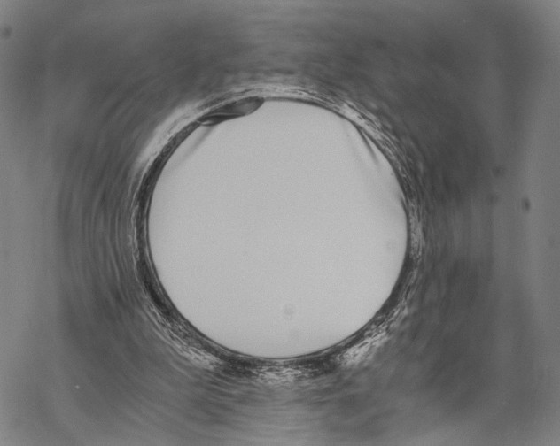 X0000068260199200605191811