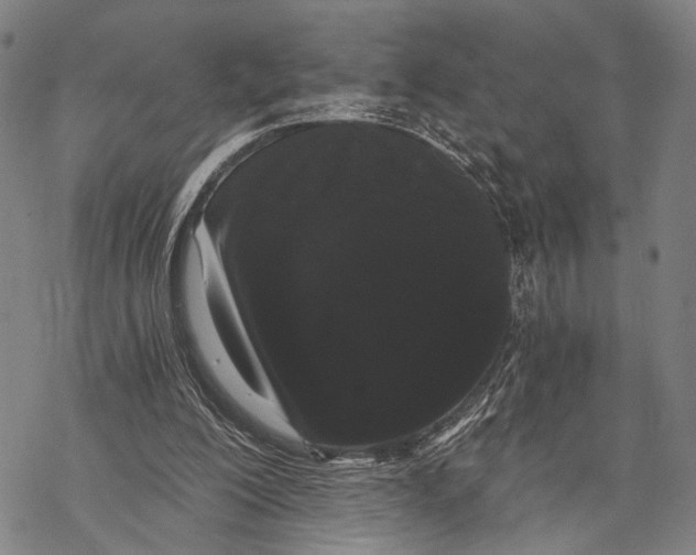 X0000068260200200605191811