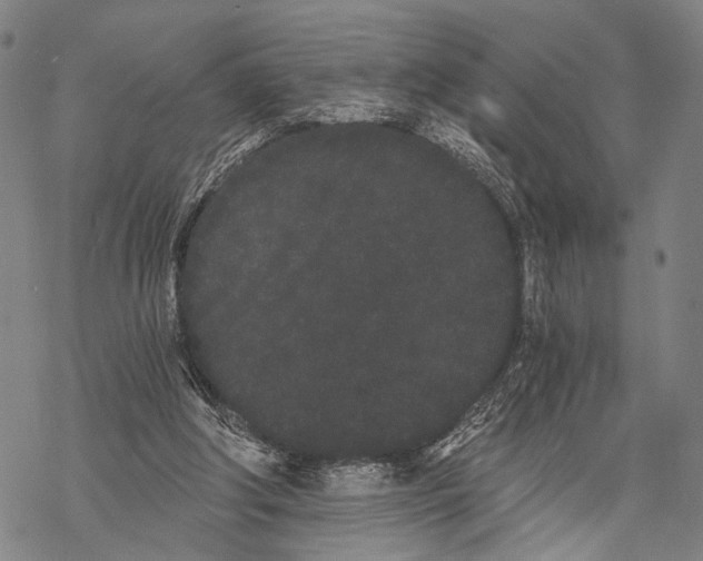 X0000068260202200605191811