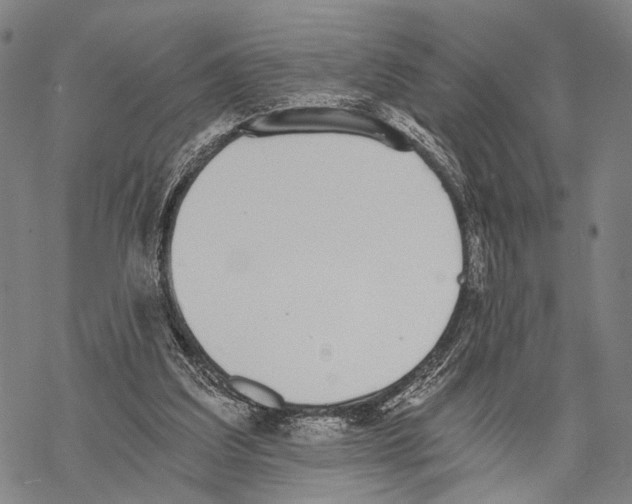 X0000068260203200605191811