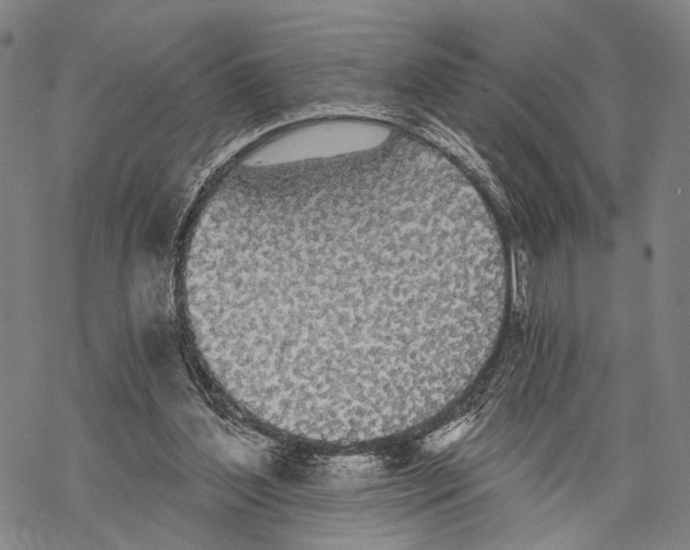 X0000068260204200605191811