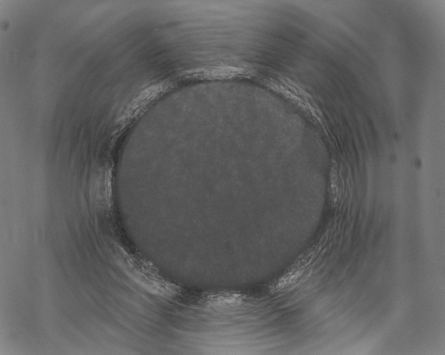 X0000068260206200605191811