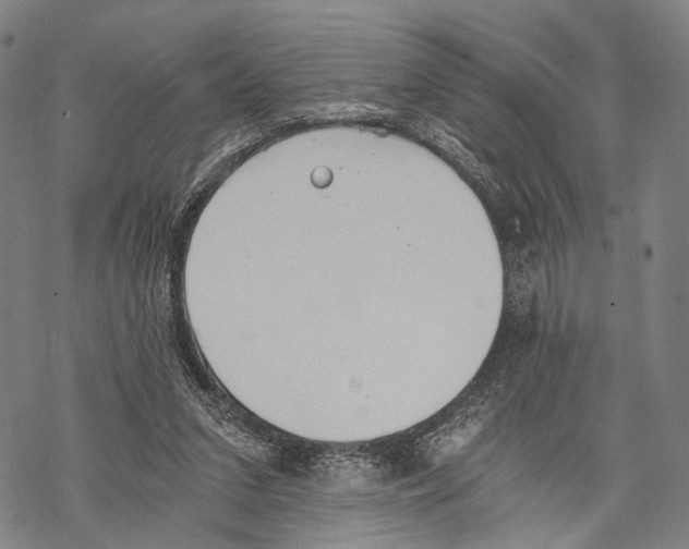 X0000068260207200605191811