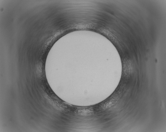 X0000068260208200605191811