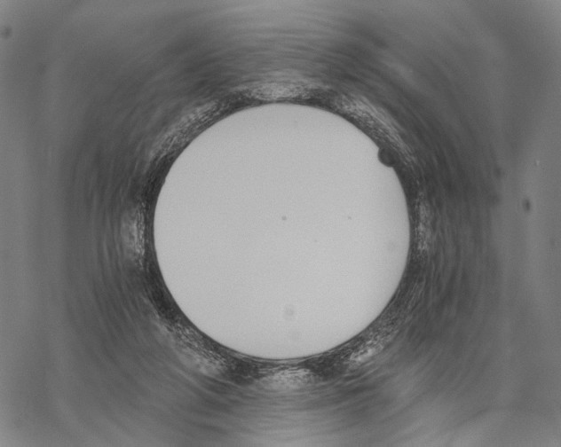 X0000068260210200605191811