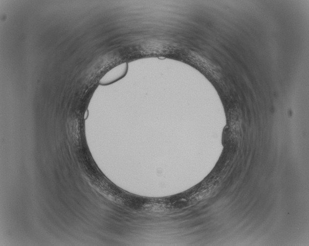 X0000068260211200605191811