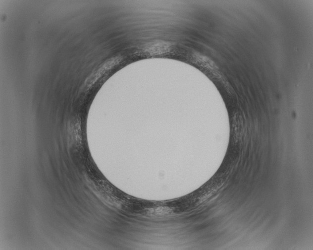 X0000068260212200605191811