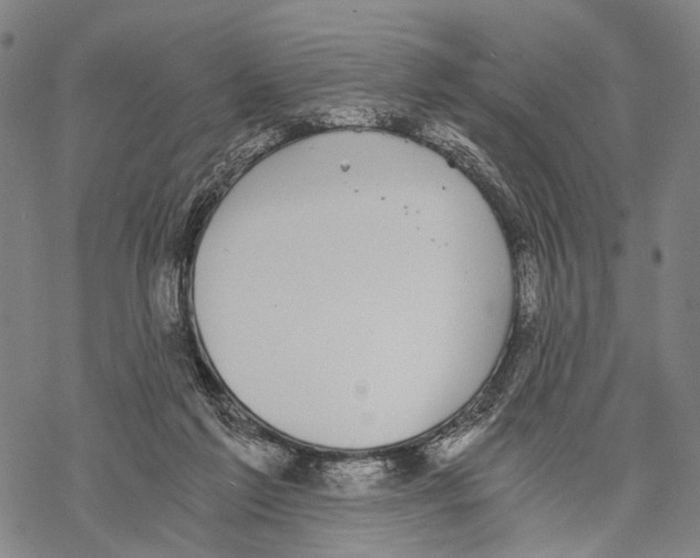 X0000068260213200605191811