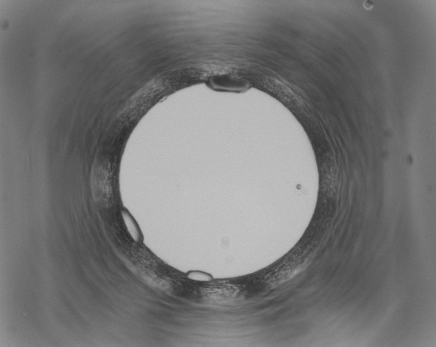 X0000068260215200605191811